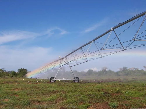 進城買房補5萬與征地補償政策下的機遇與挑戰(zhàn)