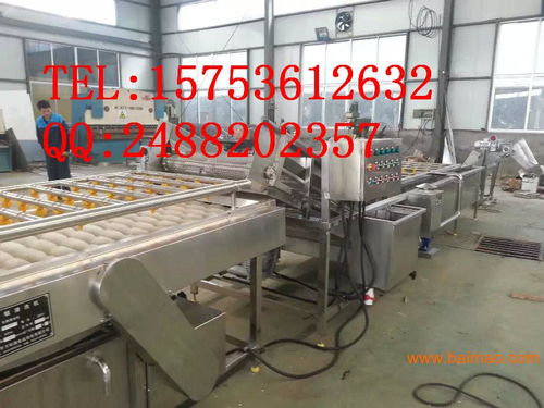 專注普通機械制造 解析胡蘿卜清洗機與食品清洗機的生產(chǎn)與價格