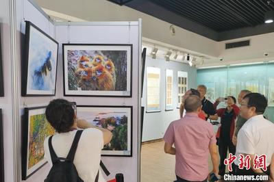 讓世界看見秦嶺 文化宣傳活動(dòng)優(yōu)秀作品展在西安啟幕